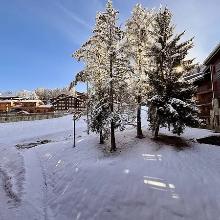 Duplex 6 Pers, Centre Station, Parking, Animaux Ok La Plagne